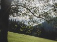 tirolerkogel_elisabeth-lammer_20180919-0677