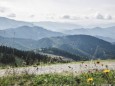 tirolerkogel_elisabeth-lammer_20180919-0687