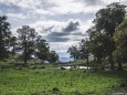 tirolerkogel_elisabeth-lammer_20180919-0695