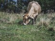 tirolerkogel_elisabeth-lammer_20180919-0696