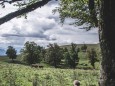 tirolerkogel_elisabeth-lammer_20180919-0698