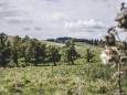 tirolerkogel_elisabeth-lammer_20180919-0699