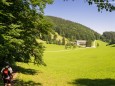 Wanderung zum Trefflingfall im Naturpark Ötscher-Tormäuer