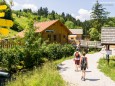 Trefflingtaler Hütte in Sulzbichl - Eingang Wanderung zum Trefflingfall im Naturpark Ötscher-Tormäuer