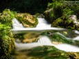 Wanderung zum Trefflingfall im Naturpark Ötscher-Tormäuer