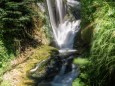 Blick von der Brücke hinauf - Wanderung zum Trefflingfall im Naturpark Ötscher-Tormäuer