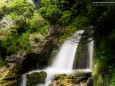 Wanderung zum Trefflingfall im Naturpark Ötscher-Tormäuer