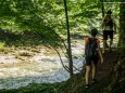 Weiter gehts entlang der Erlauf - Wanderung zum Trefflingfall im Naturpark Ötscher-Tormäuer