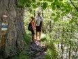 Wanderung zum Trefflingfall im Naturpark Ötscher-Tormäuer