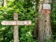 Von Erlaufboden nach Gösing - Wanderung zum Trefflingfall im Naturpark Ötscher-Tormäuer