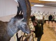 Trophäenschau Ger. Bez. Mariazell, Jagdjahr 2011/12 im Volksheim Gußwerk