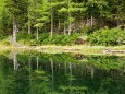 Türnsee