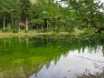 Türnsee