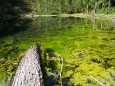 Türnsee