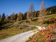 oischingkogel-vord-zellerhut-augenblicke-9090