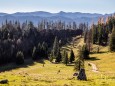 oischingkogel-vord-zellerhut-augenblicke-9106