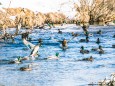 winterwanderung-walstern-hubertussee-19022018-3850