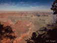 Grand Canyon. Foto: Walter Egger