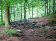 Waldweg zum Einstieg in die Wasserloch Klamm