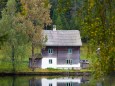 Weisenblasen am Hubertussee in der  Walstern 2013