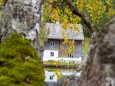 Weisenblasen am Hubertussee in der  Walstern 2013