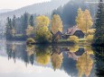 Weisenblasen in der Walstern am Hubertussee - 5. Oktober 2014