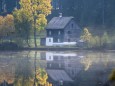 Weisenblasen in der Walstern am Hubertussee - 5. Oktober 2014