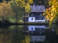 Weisenblasen in der Walstern am Hubertussee - 5. Oktober 2014