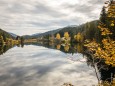 weisenblasen-hubertussee-2018-45781