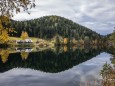 weisenblasen-hubertussee-2018-45790