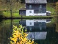 weisenblasen-hubertussee-2018-45798