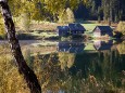 Weisenblasen am Hubertussee in der Walstern