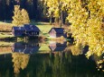 Weisenblasen am Hubertussee in der Walstern