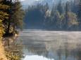 Weisenblasen am Hubertussee in der Walstern