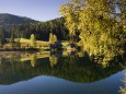 Weisenblasen am Hubertussee in der Walstern