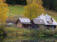 weisenblasen-hubertussee-2018-anna-maria-scherfler_6742