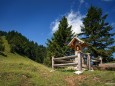 Hier gehts steil rauf auf das Bärenkögerl / Lahnsattel - Wildalm Hütte - Wildalpe - retour