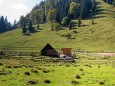 Wildalmhütte mit Blick auf Bärenkögerl (älteres Foto) / Lahnsattel - Wildalm Hütte - Wildalpe - retour