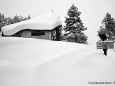 Winterimpressionen Walster