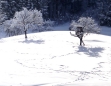 Winterlandschaft in Mariazell am 26. Jänner 2011