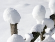 Winterlandschaft in Mariazell am 26. Jänner 2011