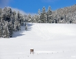 Winterlandschaft in Mariazell am 26. Jänner 2011