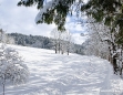 Winterlandschaft in Mariazell am 26. Jänner 2011 - Weg in die Salzaklamm