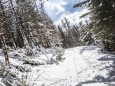 winter-schnee-buergeralpe-sonnenschein-3670