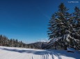 Wisbi Skirennen veranstaltet vom WSV Mariazell auf der Bürgeralpe. Foto: Fritz Zimmerl