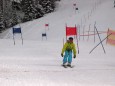 WISBI Skirennen Mariazell 2013