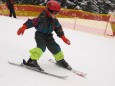 WISBI Skirennen Mariazell 2013