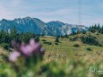 Fast schon oben - Blick auf das Hochschwabmassiv - zeller-staritzen-zinken-1619-m-4850