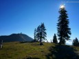 BEIM EISERNEN HERRGOTT - Wanderung - Zellerrain - Vorderötscher - Ötschergräben - Stausee - Mitterbach