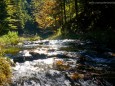 GREIMELGRABEN - Wanderung - Zellerrain - Vorderötscher - Ötschergräben - Stausee - Mitterbach